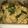 クックZ8J4H4☆'s cooksnap of when they made きぬさやと新玉ねぎの簡単卵とじ.