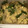 クックZ8J4H4☆'s cooksnap of when they made きぬさやと新玉ねぎの簡単卵とじ.