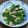 mrpostman's cooksnap of when they made モロヘイヤとツナのお浸し.