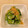 めぐどん☆'s cooksnap of when they made 胡瓜と茗荷の浅漬け.