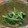 クックVY8JDP☆'s cooksnap of when they made ほうれん草のごまあえ.