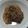 クックプ～'s cooksnap of when they made 【ホットクック】牛こま切れと大根の煮物.