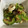 クック00N8WZ☆'s cooksnap of when they made ゴーヤとササミのさっぱり梅肉和え.