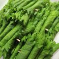 ふるこーす's cooksnap of when they made 大葉★みそ巻き.