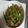 kurolabu428's cooksnap of when they made ささげとさつま揚げの胡麻油炒め.