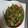 kurolabu428's cooksnap of when they made ささげとさつま揚げの胡麻油炒め.