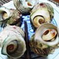 ひっこ's cooksnap of when they made サザエの壺・茹で　by千葉in九十九里.