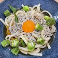 あけ307's cooksnap of when they made 冷やししらす玉うどん.