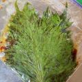 こた☆むぎ's cooksnap of when they made しそ醤油漬け.