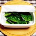 クックみゅーみゅー's cooksnap of when they made 【プロの料理人の裏技】バジルの保存法.