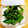クックみゅーみゅー's cooksnap of when they made ミントを新鮮なまま長持ちさせる保存方法.