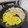 ずぼら伝説's cooksnap of when they made もやしの卵炒め.