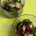 ★ころんたん★'s cooksnap of when they made 【我が家の定番】たこときゅうりの酢の物.