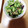空遥☆ましゃlove's cooksnap of when they made きゅうりとなすとみょうがの即席漬け.