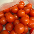 ゆ88's cooksnap of when they made ミニトマトの保存(長持ち)方法.