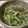 るったんママ★'s cooksnap of when they made 風邪に効く！ネギチャーシューサラダ.