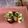 天ちゃん（＾＿＾）'s cooksnap of when they made たこなし たこ焼き（ヴィーガン！）.