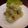 ツワリ's cooksnap of when they made シーフードポテトのクリチージェノベーゼ.