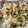 ちいばあば's cooksnap of when they made うなぎと卵と胡瓜の混ぜ寿司.