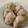 papikun's cooksnap of when they made ねぎ＆しょうがのおにぎり.