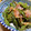 marilin36's cooksnap of when they made ししとうとベーコンのガーリック炒め.