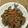 ☆ゆなふみ☆'s cooksnap of when they made シャキシャキ☆豚肉とれんこんの味噌炒め♪.