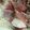 クックHB0OYQ☆'s cooksnap of when they made ✮生ハムと大根のマリネサラダ✮.