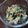 えっこぱんだ's cooksnap of when they made 元気になる♪ひじきのサラダ.