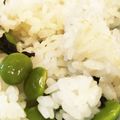 shirokumama19's cooksnap of when they made 枝豆大量消費☆美味しい豆ごはん.