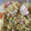 クック78R779☆'s cooksnap of when they made もやしとベーコンのオイスター炒め.