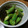 ramieru's cooksnap of when they made オクラのマヨカレー炒め.
