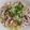 ＊ピンクハート＊'s cooksnap of when they made 冷やしネギ塩豚そうめん.
