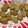 katuo1110's cooksnap of when they made 簡単！マックのようなハッシュドポテト！.