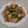 akoreana's cooksnap of when they made 豚肉とゴーヤのオイスター炒め.
