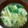 まん丸みかリン's cooksnap of when they made 卵とオクラの中華風スープ.