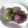 ちなごん♪'s cooksnap of when they made いつまでたっても、やわらか団子♪.