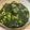 クックWQOUNC☆'s cooksnap of when they made 栄養満点♡オクラとモロヘイヤのスープ.