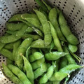 やっちーさん's cooksnap of when they made 一番美味しい枝豆のゆで方 簡単☆.