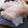 ニコニコシフォン's cooksnap of when they made 魚のさばき方（5枚おろし）.