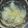 ゆなほむcrea's cooksnap of when they made みかんの寒天ゼリー ナタデココ入り.