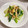 ＊＊めろん＊＊'s cooksnap of when they made ちんげん菜とキノコの中華風レンジ蒸し.