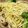 クックLZ7E8G☆'s cooksnap of when they made パスタのバジルソース炒めウインナー添え.