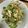 yuriko115's cooksnap of when they made 簡単時短！計量いらずのゴーヤチャンプルー.