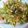 shelly616's cooksnap of when they made ささぎの梅肉いため.