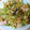 shelly616's cooksnap of when they made ささぎの梅肉いため.