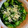 shelly616's cooksnap of when they made きゅうりとワカメの酢の物.