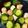 ふぁんころ's cooksnap of when they made ウィンナーときゅうりの炒め物.