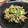フジぽん's cooksnap of when they made きのこのたまご丼.