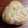 まやしゅうまま's cooksnap of when they made しらすと梅の混ぜご飯.