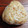 まやしゅうまま's cooksnap of when they made しらすと梅の混ぜご飯.